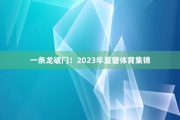 一条龙破门！2023年夏窗体育集锦