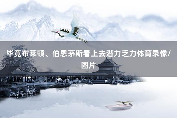 毕竟布莱顿、伯恩茅斯看上去潜力乏力体育录像/图片