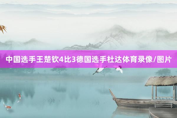 中国选手王楚钦4比3德国选手杜达体育录像/图片