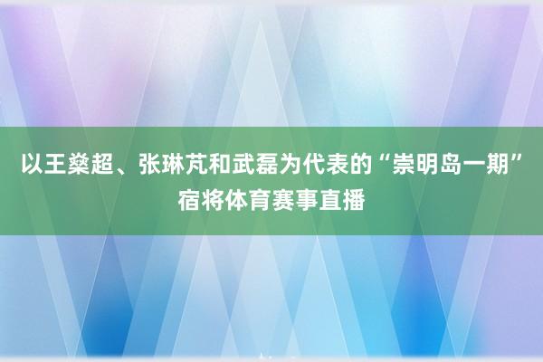 以王燊超、张琳芃和武磊为代表的“崇明岛一期”宿将体育赛事直播