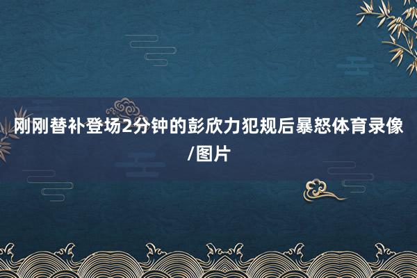 刚刚替补登场2分钟的彭欣力犯规后暴怒体育录像/图片