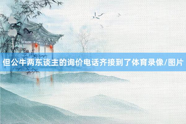 但公牛两东谈主的询价电话齐接到了体育录像/图片