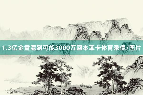 1.3亿金童混到可能3000万回本菲卡体育录像/图片