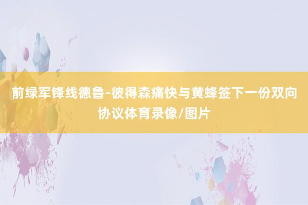 前绿军锋线德鲁-彼得森痛快与黄蜂签下一份双向协议体育录像/图片