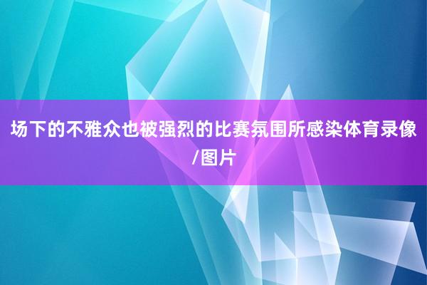 场下的不雅众也被强烈的比赛氛围所感染体育录像/图片