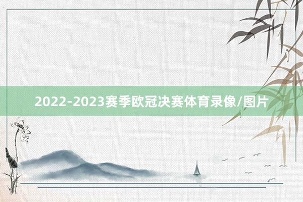 2022-2023赛季欧冠决赛体育录像/图片