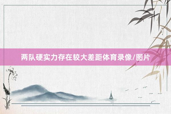 两队硬实力存在较大差距体育录像/图片