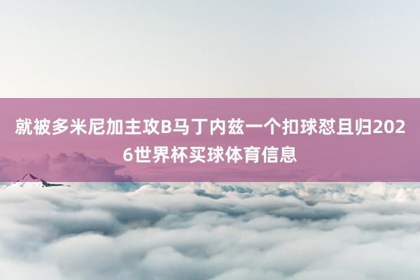 就被多米尼加主攻B马丁内兹一个扣球怼且归2026世界杯买球体育信息