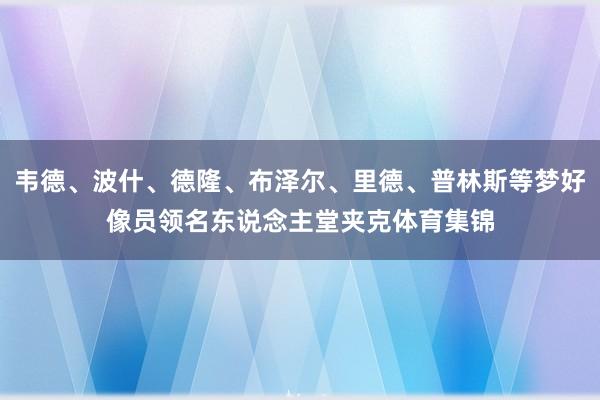 韦德、波什、德隆、布泽尔、里德、普林斯等梦好像员领名东说念主堂夹克体育集锦
