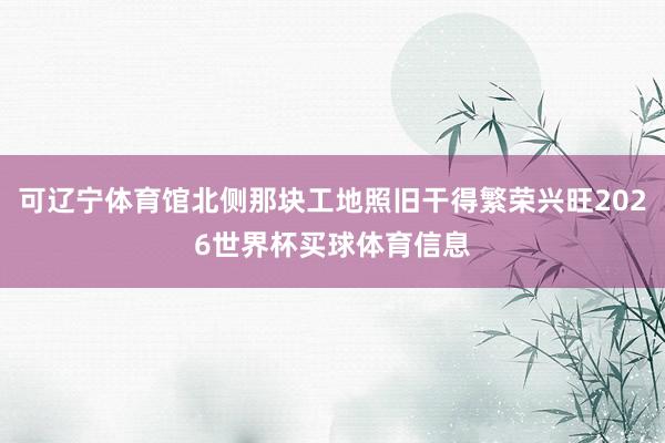 可辽宁体育馆北侧那块工地照旧干得繁荣兴旺2026世界杯买球体育信息
