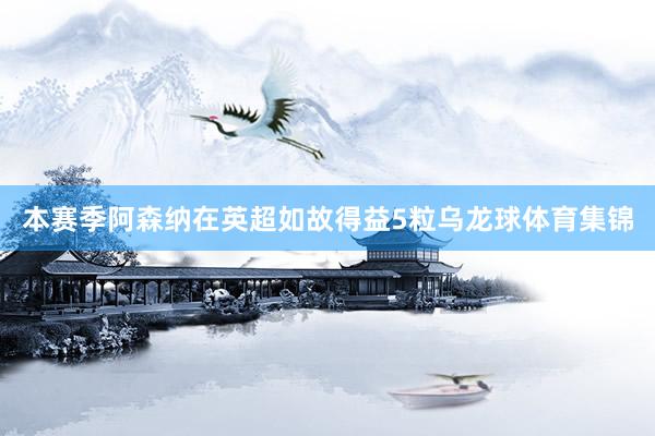 本赛季阿森纳在英超如故得益5粒乌龙球体育集锦