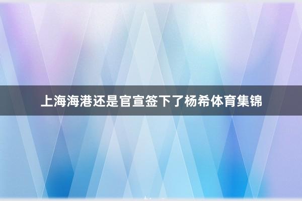 上海海港还是官宣签下了杨希体育集锦