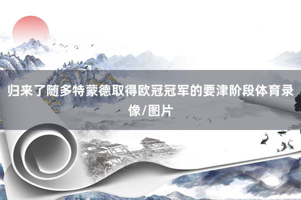 归来了随多特蒙德取得欧冠冠军的要津阶段体育录像/图片