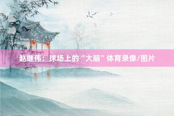 赵继伟：球场上的“大脑”体育录像/图片