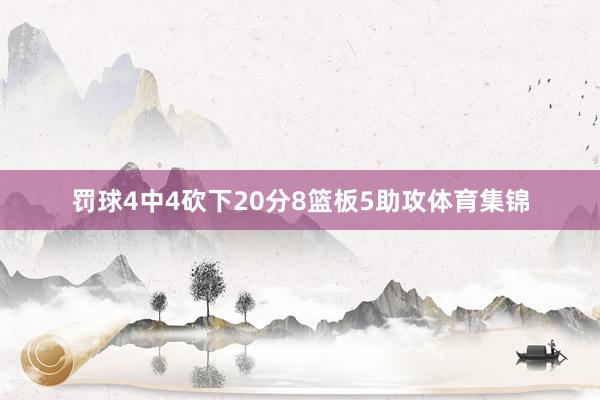罚球4中4砍下20分8篮板5助攻体育集锦