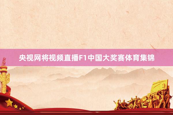 央视网将视频直播F1中国大奖赛体育集锦