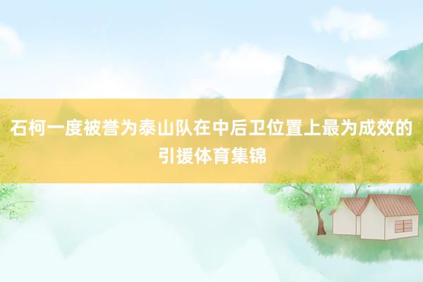 石柯一度被誉为泰山队在中后卫位置上最为成效的引援体育集锦