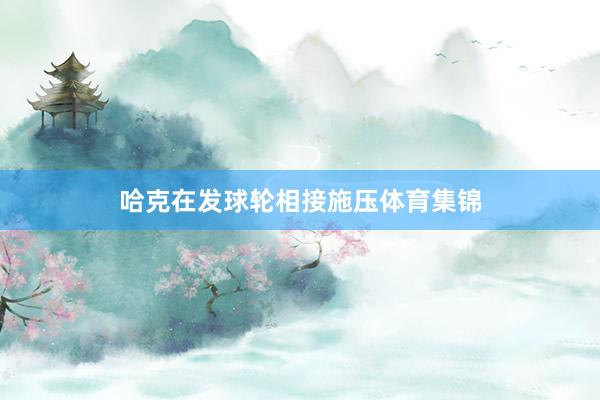 哈克在发球轮相接施压体育集锦