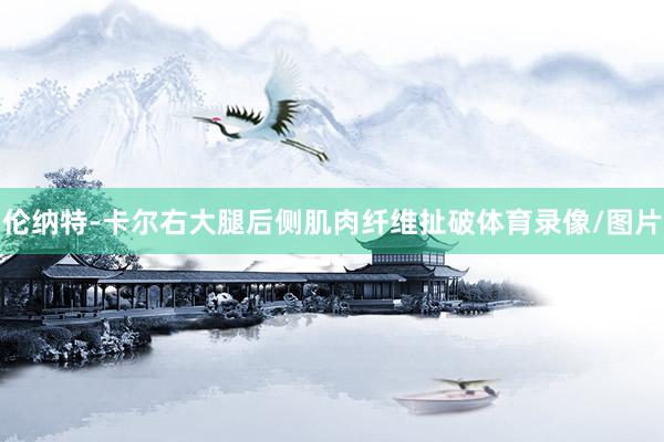 伦纳特-卡尔右大腿后侧肌肉纤维扯破体育录像/图片