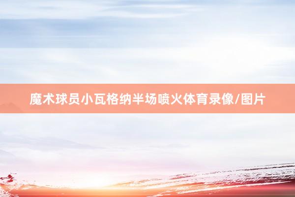 魔术球员小瓦格纳半场喷火体育录像/图片