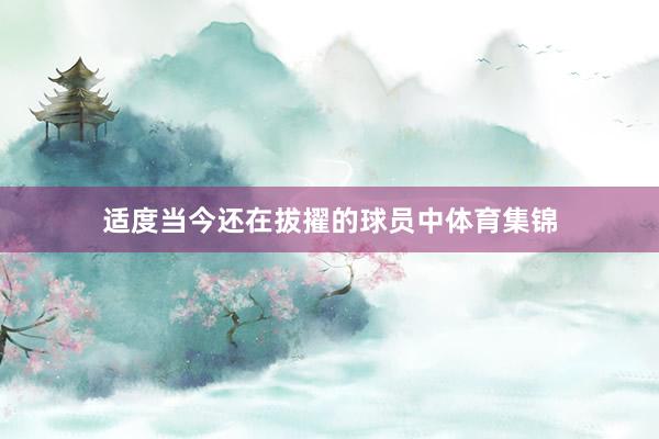 适度当今还在拔擢的球员中体育集锦