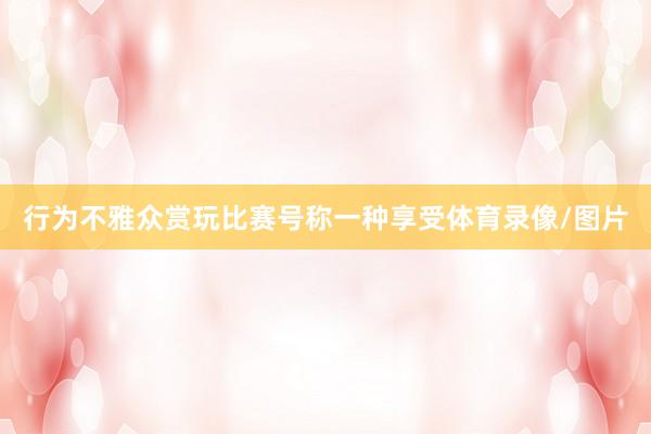 行为不雅众赏玩比赛号称一种享受体育录像/图片